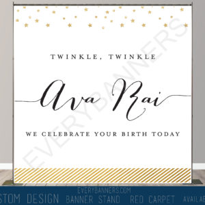 Twinkle Birthday Party Backdrop